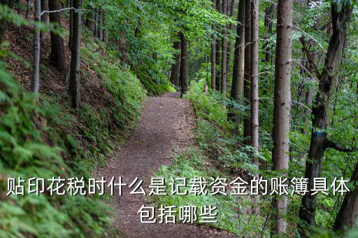 印花稅登記簿什么意思，貼印花稅時(shí)什么是記載資金的賬簿具體包括哪些