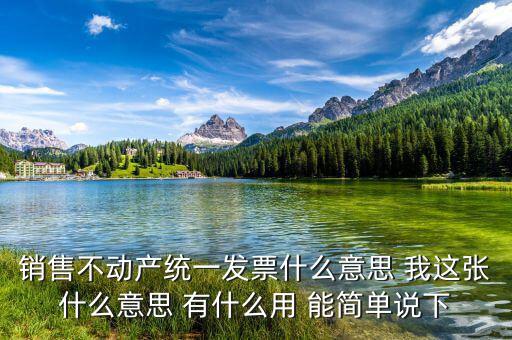 納稅人銷售取得的不動產(chǎn)是什么意思，納稅人銷售其取得的不動產(chǎn)包含其他個人嗎