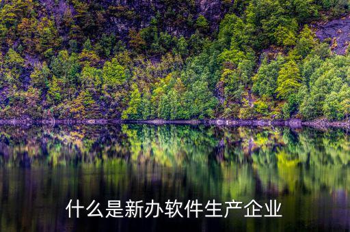 什么叫新辦企業(yè)，何為新辦企業(yè)的在正式經(jīng)營(yíng)開(kāi)始日