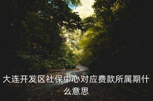社保所屬期是什么意思，大連開發(fā)區(qū)社保中心對應(yīng)費款所屬期什么意思