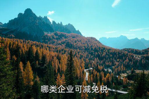 什么樣的企業(yè)免增值稅，哪些企業(yè)免征增值稅
