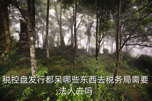 辦理稅控盤去什么地方，稅控盤發(fā)行都呆哪些東西去稅務(wù)局需要法人去嗎