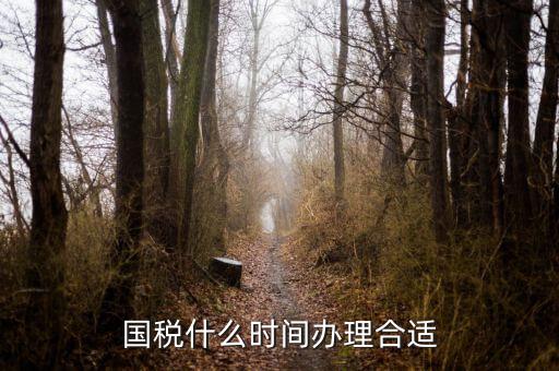 國(guó)稅局申請(qǐng)什么時(shí)候好，國(guó)稅什么時(shí)間辦理合適