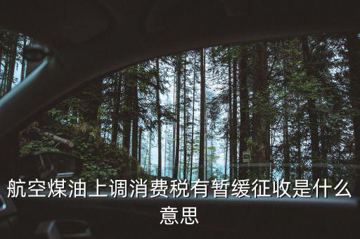 暫緩征收消費稅是什么，航空煤油上調(diào)消費稅有暫緩征收是什么意思
