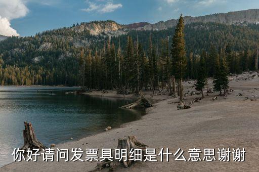 什么是個稅明細(xì)，個稅是什么是干嘛的詳細(xì)點(diǎn)哈