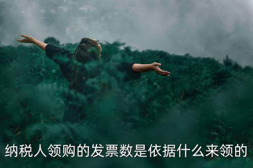 為什么領(lǐng)票人是納稅人，發(fā)票領(lǐng)購(gòu)簿上的章子與納稅人名稱不一樣是怎么回事
