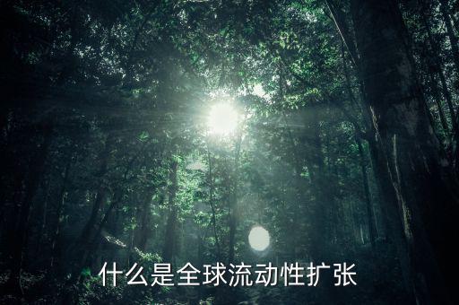什么叫非居民風(fēng)險(xiǎn)，為什么歐洲央行負(fù)債資金來源于非居民