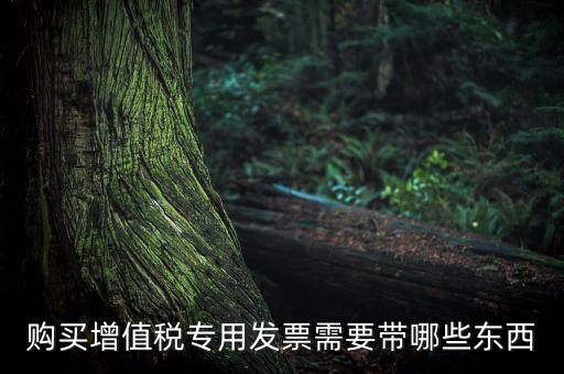 購(gòu)買增值稅專用發(fā)票需要帶哪些東西