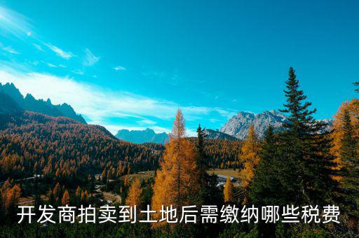 開(kāi)發(fā)商拍賣(mài)到土地后需繳納哪些稅費(fèi)