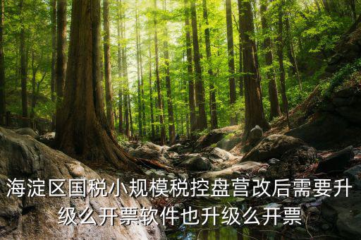 稅控盤為什么要升級，稅控盤鎖了找稅務(wù)專管員處理了說拿回來要升級一下怎么升級