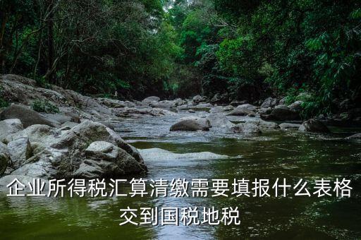 匯算清繳填寫(xiě)什么表格，請(qǐng)教關(guān)于企業(yè)所得稅匯算清繳中需要填寫(xiě)的表格的一些問(wèn)題