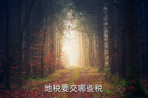 地稅需要交什么稅，地稅應(yīng)交哪些稅