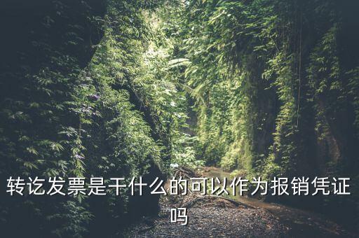 什么叫轉(zhuǎn)發(fā)票，我開了一張農(nóng)村合作信用社的轉(zhuǎn)賬發(fā)票請問什么是對(duì)應(yīng)發(fā)票