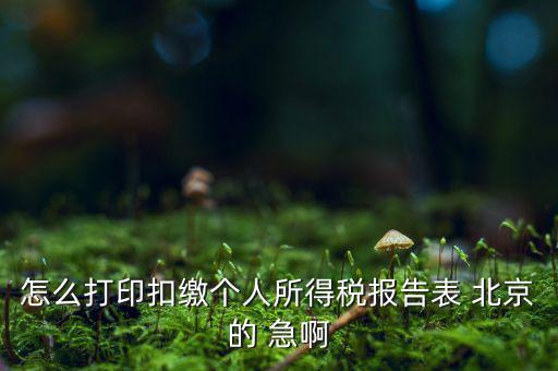 北京打印個(gè)稅需要什么資料，怎么打印扣繳個(gè)人所得稅報(bào)告表 北京的 急啊
