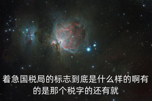 稅優(yōu)識別碼是什么樣的，納稅人辨認號和代碼是1樣的