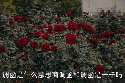 國(guó)稅調(diào)函是什么意思，國(guó)稅要來(lái)函條是怎么回事啊