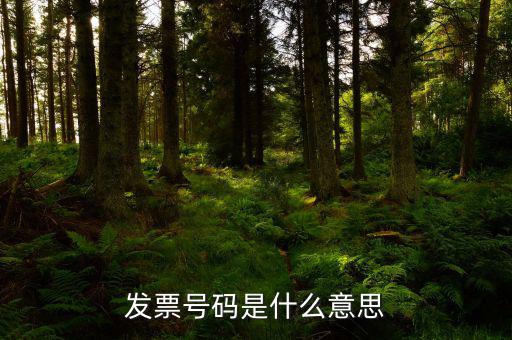 發(fā)票上什么是發(fā)票號(hào)碼嗎，普通增值稅發(fā)票上發(fā)票編號(hào)是哪一個(gè)