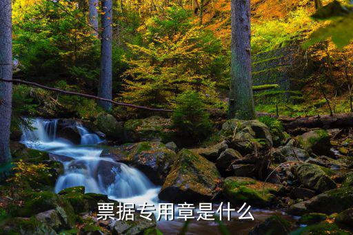 發(fā)票專用章上都有什么，發(fā)票長條章上面都有什么內(nèi)容