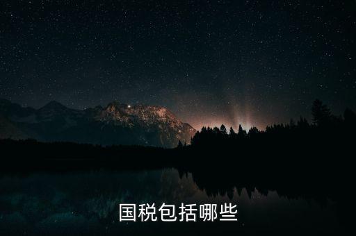 國稅綜合業(yè)務(wù)指什么，國稅包括哪些