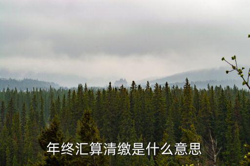 什么是企業(yè)匯算清繳，為什么年底要進(jìn)行企業(yè)所得匯算清繳