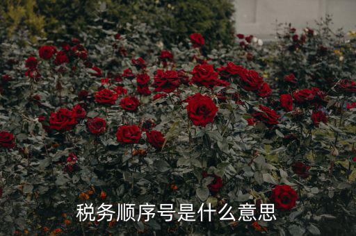 成都稅務(wù)號(hào)是什么意思，四川省國稅編號(hào)開頭幾位數(shù)是什么