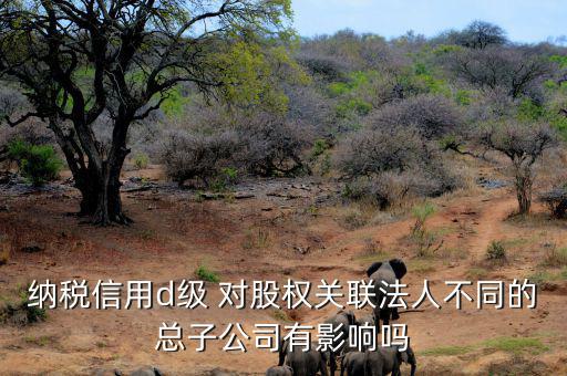 納稅信用d級 對股權關聯(lián)法人不同的總子公司有影響嗎