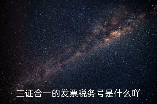 三證合一以后稅號是什么，三證合一的發(fā)票稅務號是什么吖