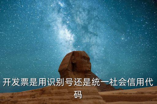 開發(fā)票是用識別號還是統一社會信用代碼
