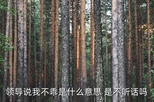領(lǐng)導說我不乖是什么意思 是不聽話嗎