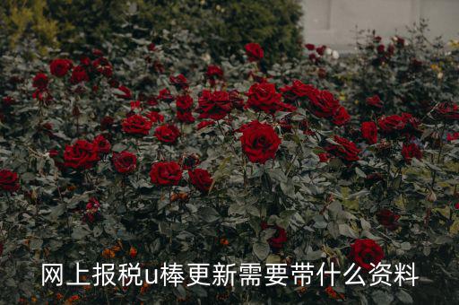 稅務(wù)u棒長什么樣，網(wǎng)上報稅u棒更新需要帶什么資料
