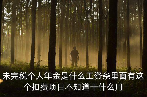 個稅年金是什么，未完稅個人年金是什么工資條里面有這個扣費項目不知道干什么用