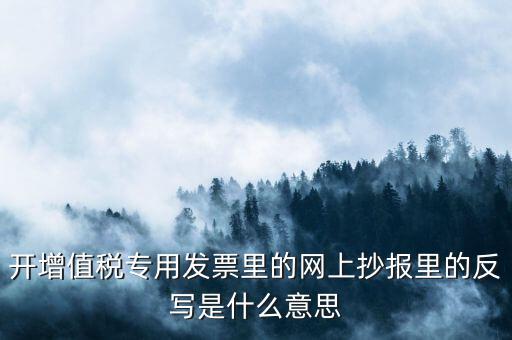 開票系統(tǒng)反寫是什么意思，開增值稅專用發(fā)票里的網(wǎng)上抄報里的反寫是什么意思