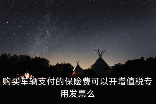 購(gòu)買(mǎi)車(chē)輛支付的保險(xiǎn)費(fèi)可以開(kāi)增值稅專(zhuān)用發(fā)票么