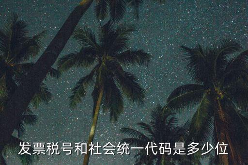 發(fā)票統(tǒng)一社會(huì)信用代碼是什么，現(xiàn)在開發(fā)票要的社會(huì)信用代碼是誰的代碼