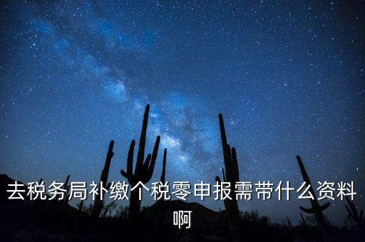 去稅務(wù)局補(bǔ)繳個稅零申報(bào)需帶什么資料啊