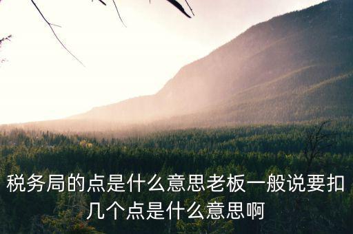 稅務(wù)局是什么意思，國稅局的具體解釋是什么