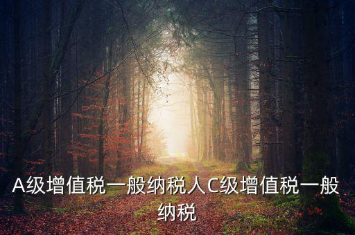 b級(jí)納稅人是什么意思，A級(jí)增值稅一般納稅人C級(jí)增值稅一般納稅