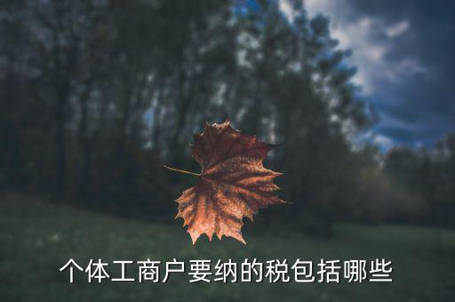 個(gè)體需要繳納什么稅，個(gè)體工商戶(hù)需要交哪些稅