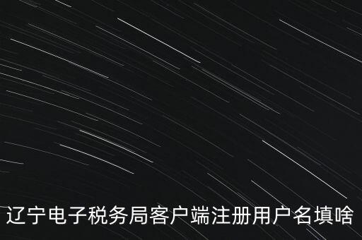 網(wǎng)上辦稅帳號是什么，登錄國稅網(wǎng)上辦稅服務(wù)廳的用戶名和密碼是什么