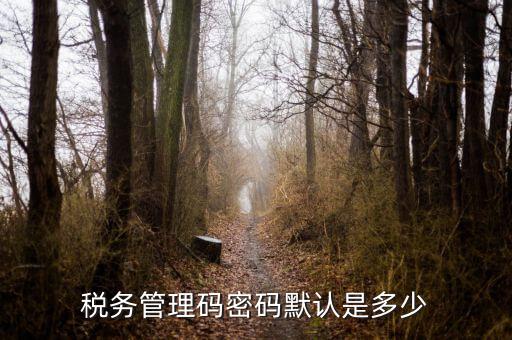 湖北國稅盤原始密碼是什么意思，湖北地稅網(wǎng)絡(luò)發(fā)票登陸密碼是什么急急急