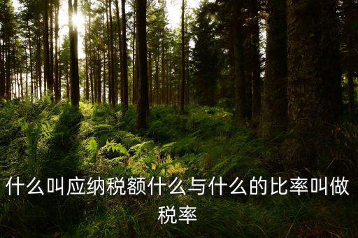 什么叫應用稅額，各種收入等于應用稅額除以什么