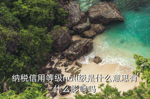 納稅信用等級(jí)是什么，納稅信用等級(jí)null級(jí)是什么意思有什么影響嗎