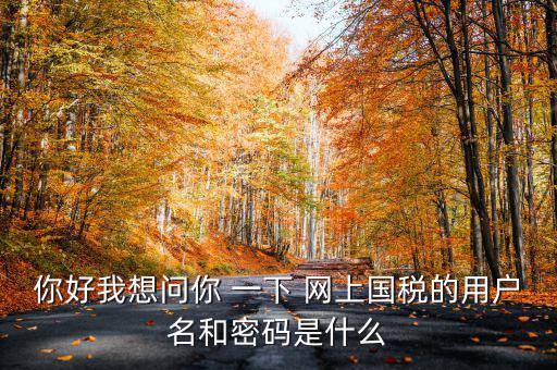 國(guó)稅登陸名和密碼是什么意思，國(guó)稅第一次網(wǎng)上申報(bào)的登陸密碼是什么