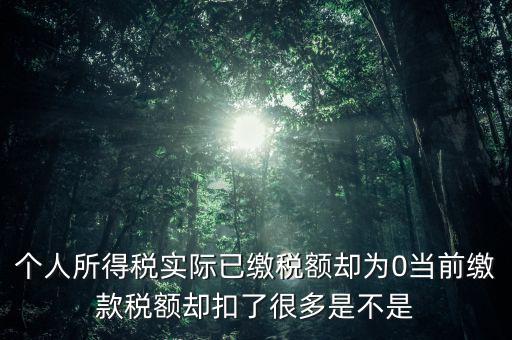 實繳稅額為什么是0，當期的實交增值稅額為0是否進行城建稅的申報什么意思可以不用申報