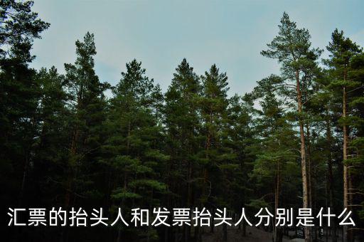 發(fā)票司稱人什么意思，匯票的抬頭人和發(fā)票抬頭人分別是什么