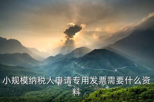 小規(guī)模申請(qǐng)專票需要核實(shí)什么，小規(guī)模納稅人申請(qǐng)專用發(fā)票需要什么資料