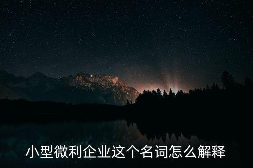 微利成公司是什么意思，小型微利企業(yè)這個名詞怎么解釋