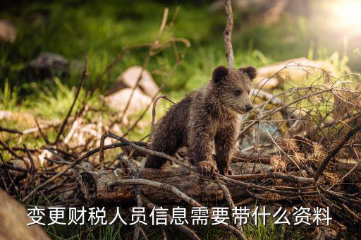 變更辦稅人員要帶什么，如何變更辦稅員