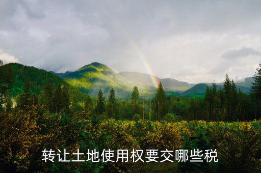 轉(zhuǎn)讓土地使用權(quán)要交什么稅，轉(zhuǎn)讓土地使用權(quán)要交哪些稅