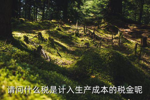 什么稅計(jì)入成本，請(qǐng)問(wèn)什么稅是計(jì)入生產(chǎn)成本的稅金呢